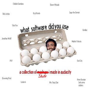 what software did you use