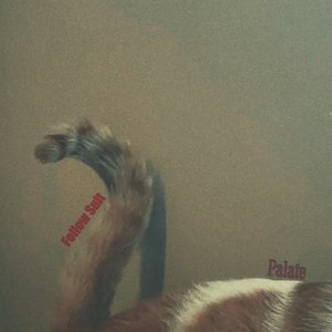 Follow Suit (Single Mix)