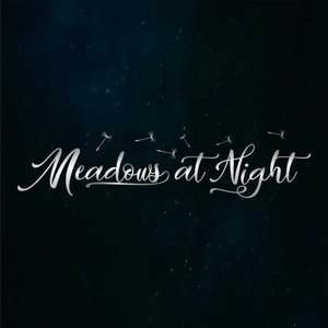Meadows at Night Profile Picture