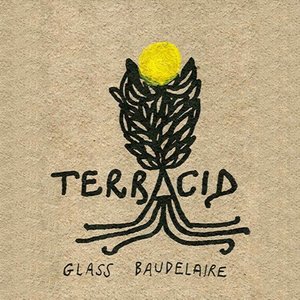 glass baudelaire