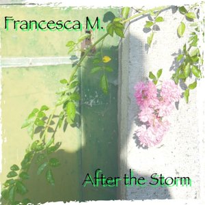 After the Storm