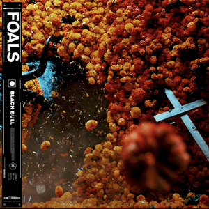 Foals - Black Bull - Zortam Music