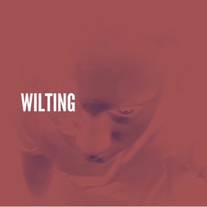 Wilting