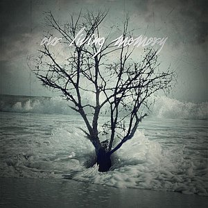 Our Living Memory