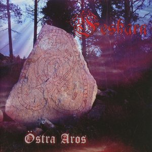 Östra Aros