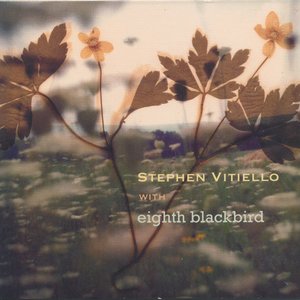 Stephen Vitiello With Eighth Blackbird