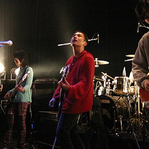 33岛 的头像