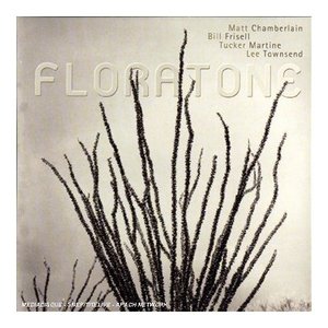 Bill Frisell, Matt Chamberlain 的头像
