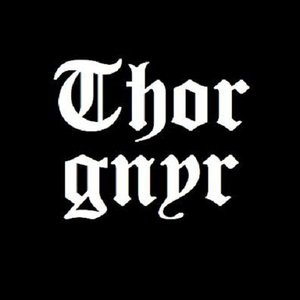 Thorgnyr 的头像