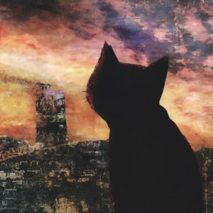 szak, ryo, H.B STUDIO 的头像