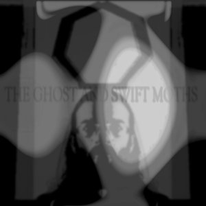 Avatar de The Ghost and Swift Moths