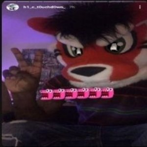hi-c archive 的头像