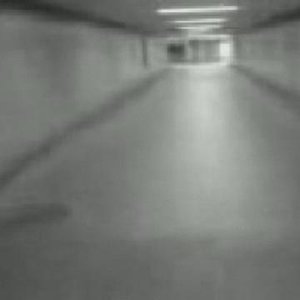 Steuker 的头像