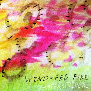 Wind-Fed Fire