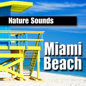 “Miami Beach”的封面