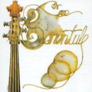 Tarentule 的头像