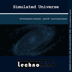 Simulated Universe