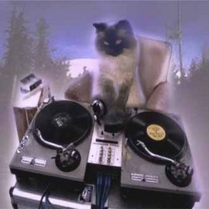 Dj D2LTA 的头像