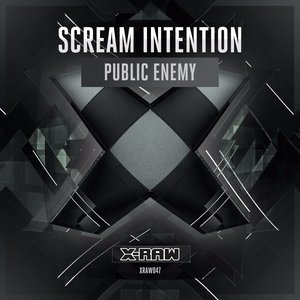Public Enemy