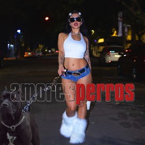 Amores Perros - Single