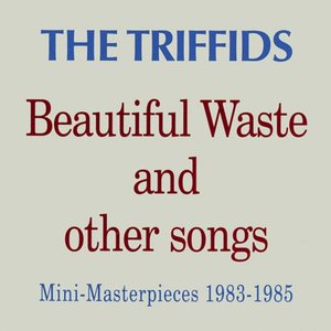 Beautiful Waste And Other Songs - Mini Masterpieces 1983 - 1985