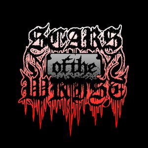 Scars of the Wrist 的头像