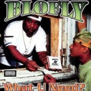 Blofly 的头像