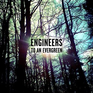 To An Evergreen