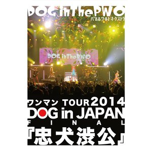 ワンマンTOUR 2014 DOG in JAPAN FINAL 『忠犬渋公』