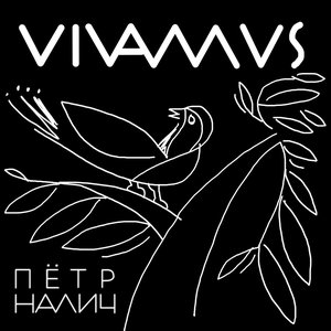 Vivamus