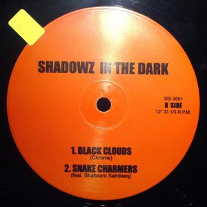 Shadowz In The Dark için avatar