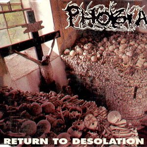 Return to Desolation