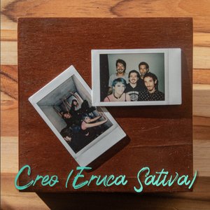 Creo (Eruca Sativa)