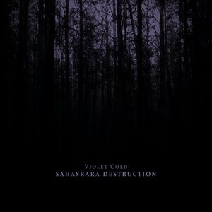 Sahasrara Destruction - Single