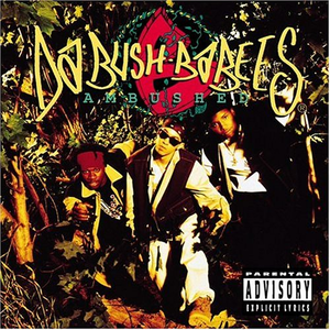 Intro cover