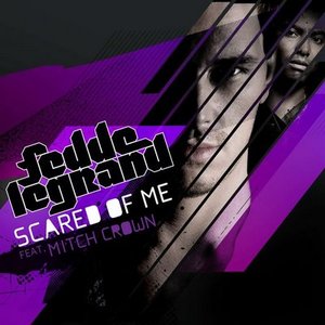 Fedde Le Grand Ft. Mitch Crown 的头像