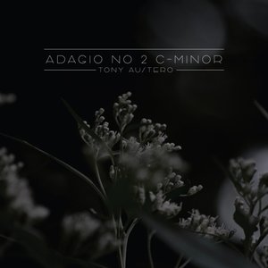 Adagio No 2 C-Minor