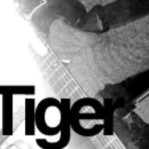 I.R. Tiger 的头像