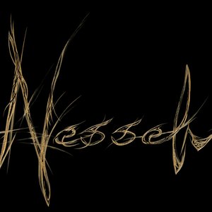 Nesselv 的头像
