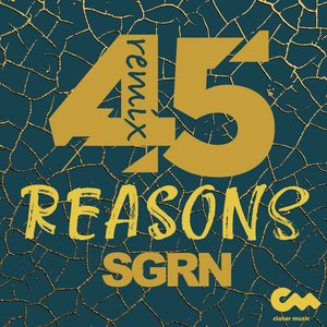 45 Reasons (Sgrn Remix)