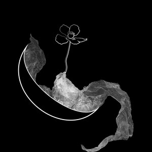 Albeit, A Moon 的头像