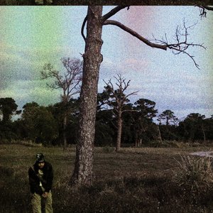 Volatility - Single