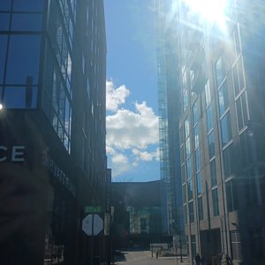 blue light and the bloody concrete (state law)
