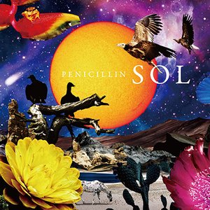 SOL Type-A - Single