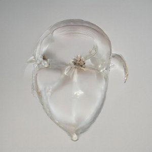 Giardia