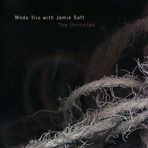 Modo Trio with Jamie Saft 的头像