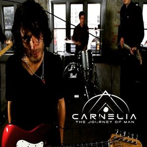 Carnelia 的头像