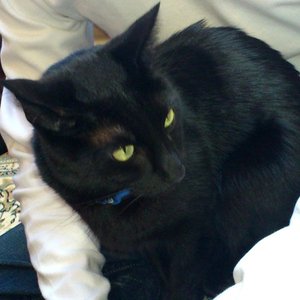 Avatar for takaokamizuki