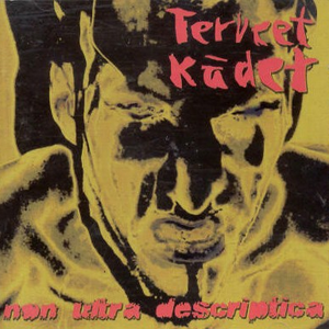 Non Ultra Descriptica cover