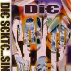 Sintflows cover
